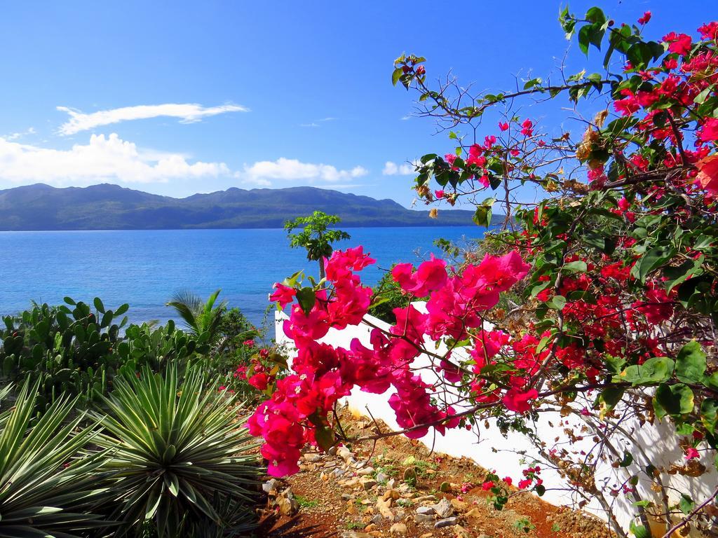 Villa Salamandre Las Galeras Esterno foto